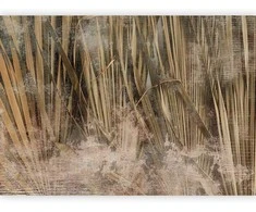 Artgeist Fototapetas - Dry leaves - landscape of tall grasses in boho style with paint patterns