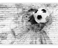 Artgeist Fototapetas - Dynamic Football