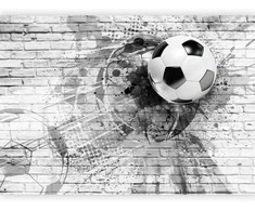 Artgeist Fototapetas - Dynamic Football