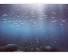 Artgeist Fototapetas - Fish in the depths