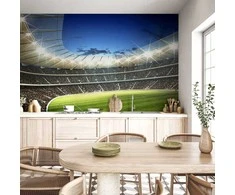 Artgeist Fototapetas - Football pitch - illuminated stadium with crowded stands
