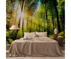 Artgeist Fototapetas - Forest Hideout