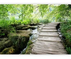 Artgeist Fototapetas - Forest path