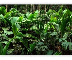 Artgeist Fototapetas - Freshness of the Jungle