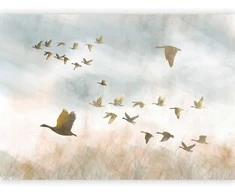 Artgeist Fototapetas - Golden Geese