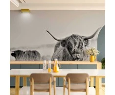 Artgeist Fototapetas - Highland Cattle