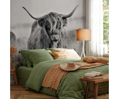 Artgeist Fototapetas - Highland Cattle