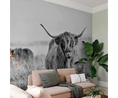 Artgeist Fototapetas - Highland Cattle