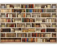 Artgeist Fototapetas - Home library