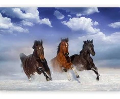 Artgeist Fototapetas - Horses in the Snow