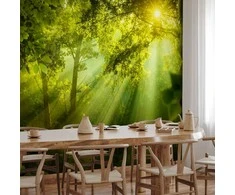 Artgeist Fototapetas - In a Secret Forest