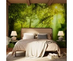 Artgeist Fototapetas - In a Secret Forest