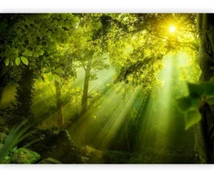 Artgeist Fototapetas - In a Secret Forest