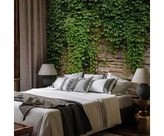 Artgeist Fototapetas - Ivy wall
