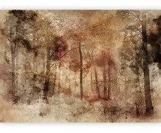 Artgeist Fototapetas - Lost in the woods
