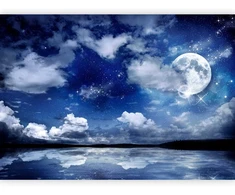 Artgeist Fototapetas - Magic night