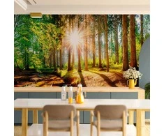 Artgeist Fototapetas - Marvelous Forest