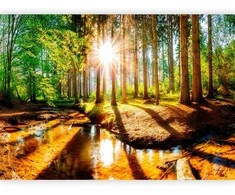 Artgeist Fototapetas - Marvelous Forest