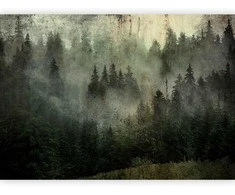 Artgeist Fototapetas - Misty Beauty of the Forest