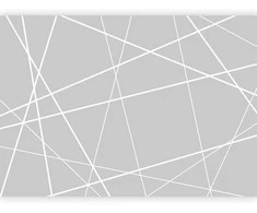 Artgeist Fototapetas - Modern Cobweb