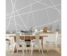 Artgeist Fototapetas - Modern Cobweb