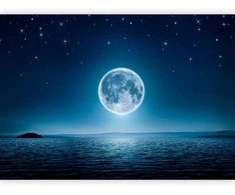 Artgeist Fototapetas - Moonlit night