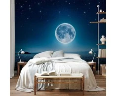 Artgeist Fototapetas - Moonlit night