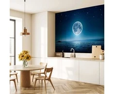 Artgeist Fototapetas - Moonlit night
