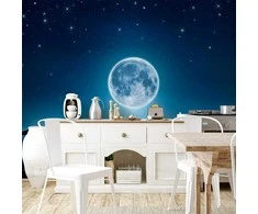 Artgeist Fototapetas - Moonlit night