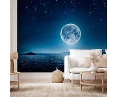 Artgeist Fototapetas - Moonlit night