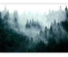 Artgeist Fototapetas - Mountain Forest (Dark Žalias)