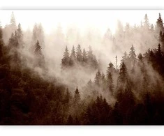 Artgeist Fototapetas - Mountain Forest (Sepia)