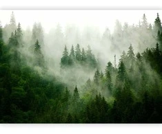 Artgeist Fototapetas - Mountain Forest (Žalias)