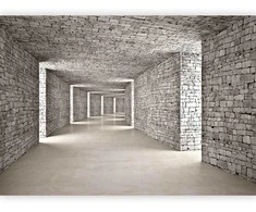 Artgeist Fototapetas - Mysterious Tunnel
