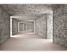 Artgeist Fototapetas - Mysterious Tunnel
