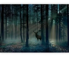 Artgeist Fototapetas - Mystical Forest - Third Variant