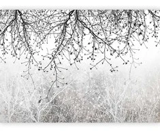 Artgeist Fototapetas - Natural Brightness