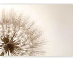 Artgeist Fototapetas - Nature close-up - close-up motif of a blowfly flower in sepia