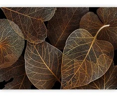 Artgeist Fototapetas - Nature in My Home - First Variant