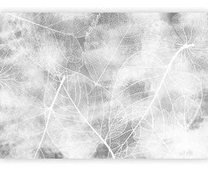 Artgeist Fototapetas - Nature in My Home - Third Variant