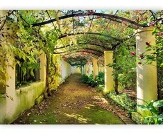 Artgeist Fototapetas - Pergola