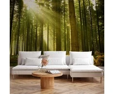 Artgeist Fototapetas - Pine forest – dense woodland in morning sunlight