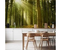 Artgeist Fototapetas - Pine forest – dense woodland in morning sunlight