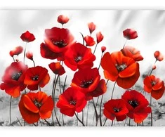 Artgeist Fototapetas - Poppies in the Moonlight