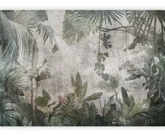 Artgeist Fototapetas - Rain Forest in the Fog