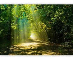 Artgeist Fototapetas - Road in Sunlight