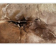 Artgeist Fototapetas - Rock abstraction - ruda and beige pattern in the style of cracked stone
