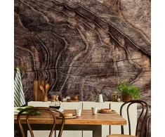Artgeist Fototapetas - Signs of the times - an abstract background with the wrinkled bark of an old medžio