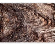 Artgeist Fototapetas - Signs of the times - an abstract background with the wrinkled bark of an old medžio