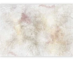 Artgeist Fototapetas - Summer memory - abstract background with shadow of dried leaves